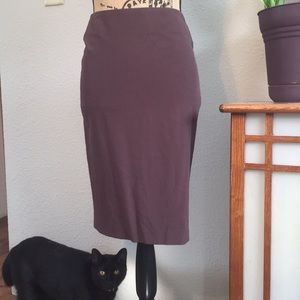 Brown Fitted and Pleated Pencil Skirt